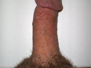 pic of dick laying limp on the coutertop