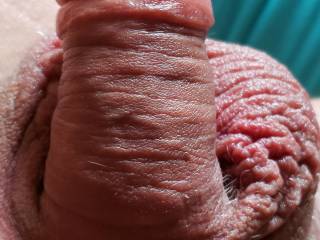 Just finished pumping my cock