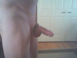 love my cock rings