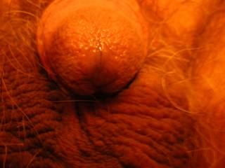 hopefully i'm mature enough for you because i just love sucking cute little cocks