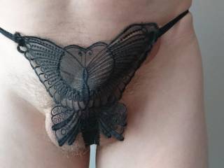 Hiding my cock behind these sexy butterfly panties?