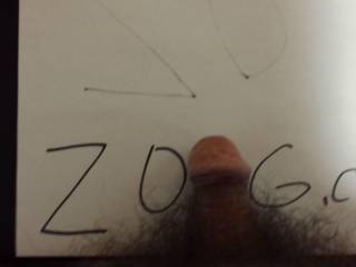 my dick for Zoig !