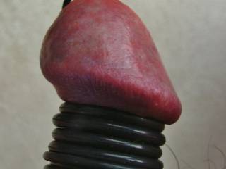 Cock with rubber glans rings