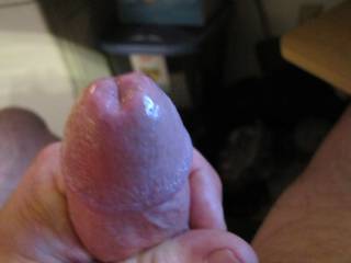 precum is the best.  i'd like to lick it off your cock