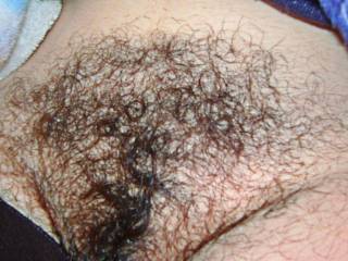 Yes I love your hairy pussy would love to rub my face all over your hairy pussy then run my in your hairy pussy.