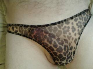 My friend steered me to these leopard panties. The fit and feel is wonderful, just enough room for me!
