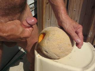 I used to fuck my wife with a peeled cucumber until she cramped, then stick my dick into her cold wet pussy.  I never thought of using a cantaloupe.  It reminds me of a joke about a guy shitting into  pumpkin...