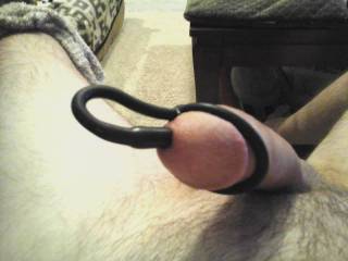 My cock, nearly hard, starting insertion of the bullet shaped cock plug.