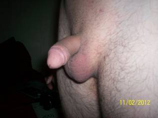 What do you think of my small cock??