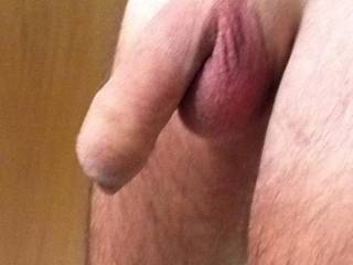 I want to suck your shaved cock and feel it get fully erect and cum in my mouth