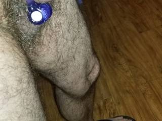 My hard cock with vibrating cock ring and glans ring