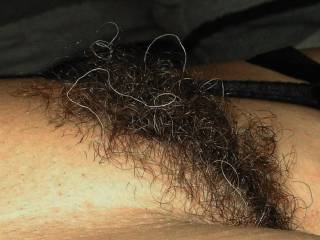 OMG OMG darlin thats the best sexy hairy bush i have EVER seen, damn thats soooooooo fucken hot, makes my dick so hard lookn at her, PLEASE never shave that beautiful pussy.... damn!!!!!!