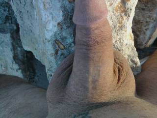 Cock on a rock.