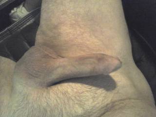 Just a full, erect, mature penis. Experienced, well used, always pleasant and enjoyable,  would you try it?