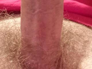 Was super horny when I took this, had been edging for 2 hours.

Really want upload more.

What should I upload next?