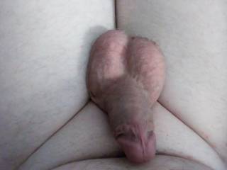 My small soft hairless cock and balls just resting.