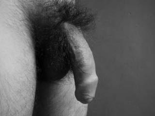 My Natural Hairy Dick In Black & White!