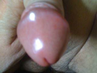 i love sucking his dick with baby oil