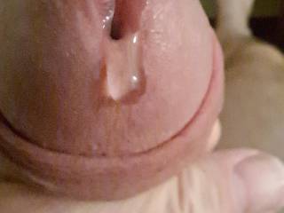 who wants to lick my precum?