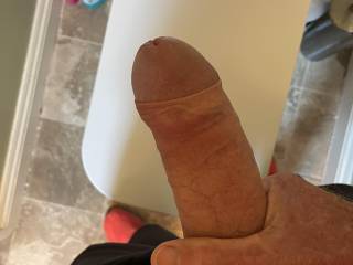 Dirty toilet wank