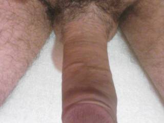 My hairy cock....do you want to taste...?