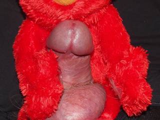 Elmo rubbing his hard cock....not long now...who wants to help?