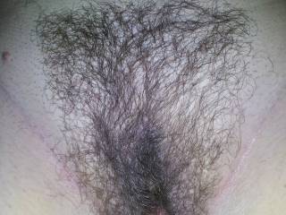 here hairy pussy trimmed up.