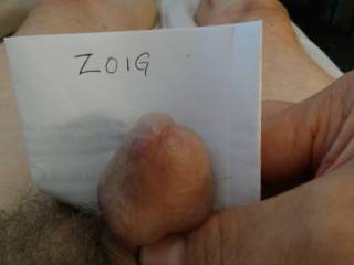 Loving me some ZOIG!