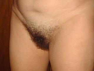 my wife's hairy pussy