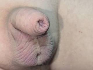 Growing my cock from soft to hard. Need some assistance, anyone?