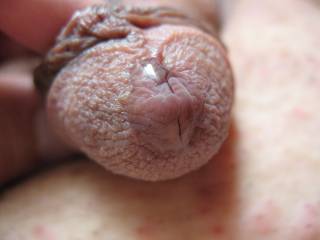 After a work out, my cute little cock just oozes.  The tip of my cock is so pretty, no?