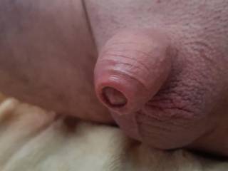 I love keeping my tiny penis hairless