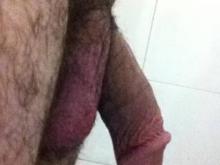 Trimmed, but not shaved...made my own choice :-).