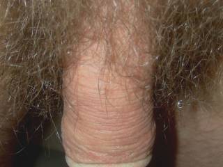 A macro close up view of my hanging dick.