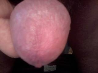 My cock head is starting to drip with pre cum