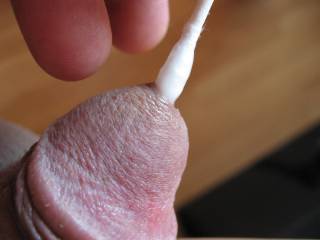 When I get horny, I love to stick things inside my cute little cock.  Is that a Q-Tip that I see inside there?  I am pulling it out now and he is so sad.