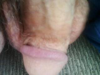 nice penis you have, lovely flared cock head, so suckable