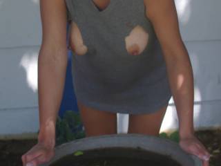 yummy tits, love to fertilize your "garden" !!
