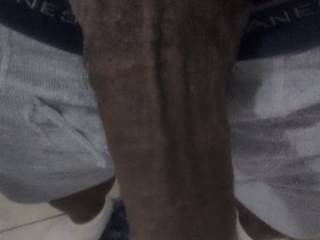 Photos of My Big Black Cock, Hope all you white housewives enjoy. If you are in the area and want it, by all means feel free contact Me. Husbands wanting to see their wives with Me are more than welcome