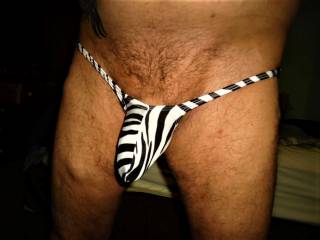 photo shoot in my zebra thong