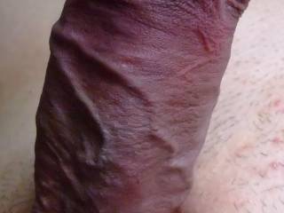 any woman wanne suck this big fat cock?