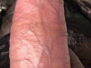 Veiny cock