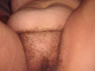 Pammy big hairy pussy and big tits