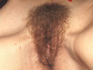 I love your hairy bush.  Please don't shave it off.  It gives me a hard on like now looking at your bush and I need to wank it out all on that beautiful bush.
