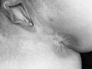 love to lick that pussy and asshole and then when your about to cum slide a coupla fingers in and rub your sexy g spot while you cum in my mouth from licking that sweet pussy to many cums !