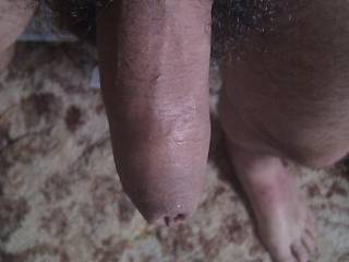 Certainly is a great looking cock with a perfect foreskin!
