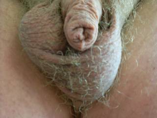 big balls  small cock
