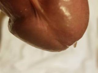 Close up pic about our friend's precum cock... He shot some pics about me (asked by us) and he wasn't able to keep calm... i've seen he got rockhard during shooting me, i asked to show his beauty dick for us... did it, and more...