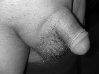 Just a plain old average everyday no tricky camera angle dick freshly manscaped.