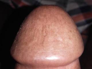 Dick head show